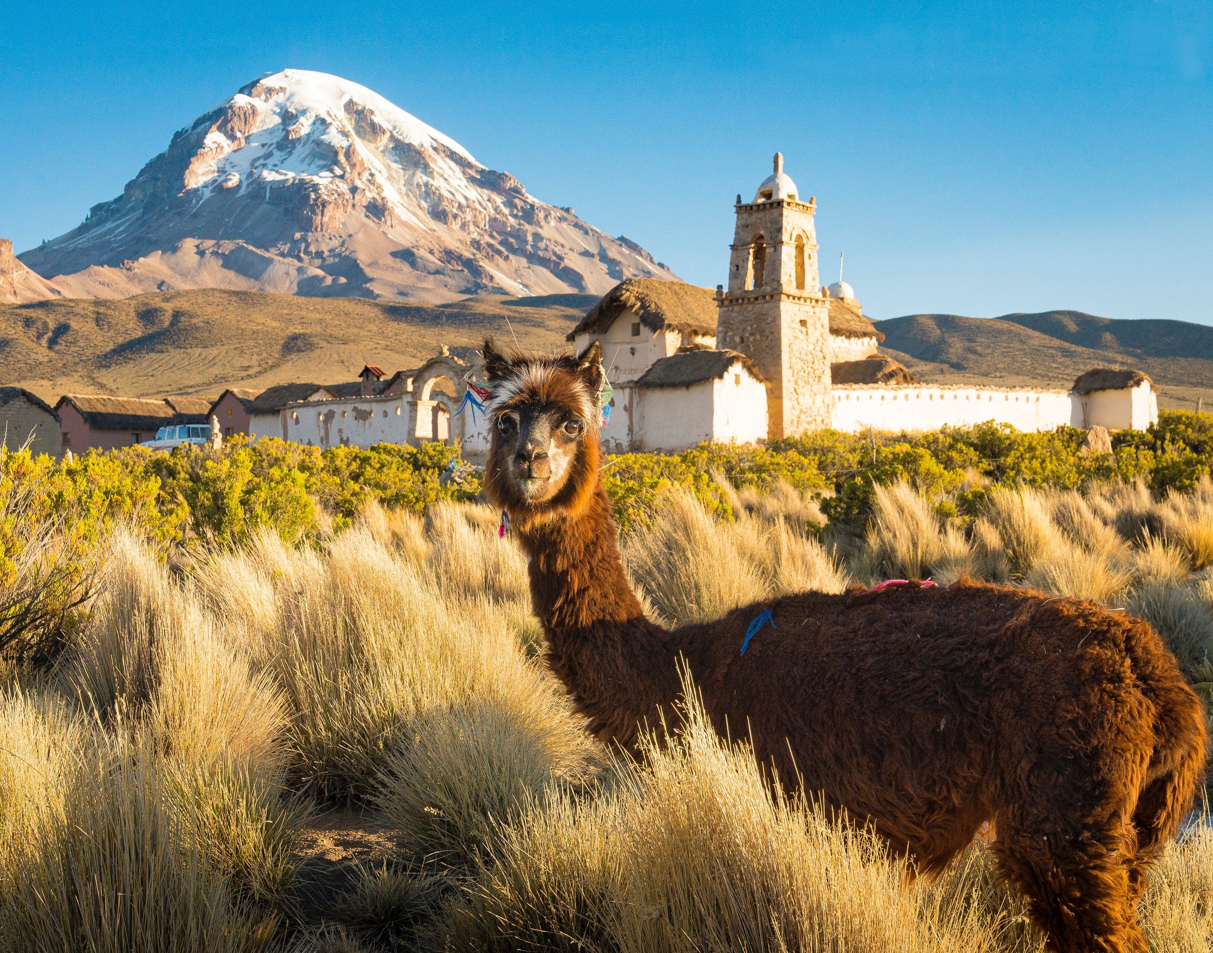 What are the Most Common Types of Companies in Bolivia?