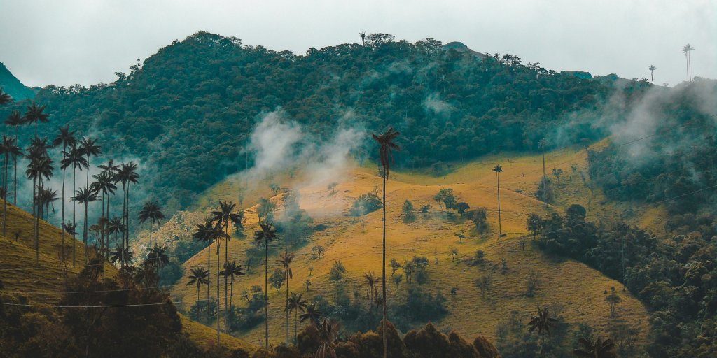 easyco - new business in Colombia