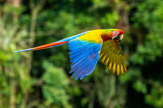 easyco - Accounting and Tax Outsourcing in Costa Rica