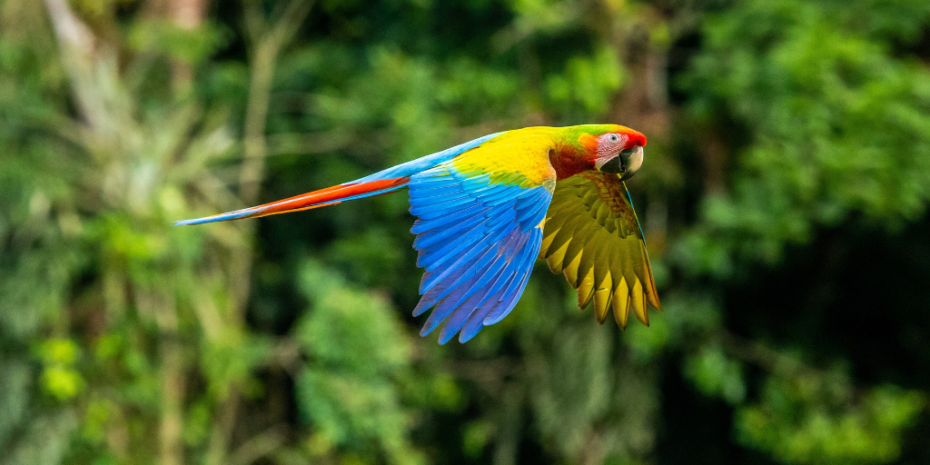 easyco - Accounting and Tax Outsourcing in Costa Rica