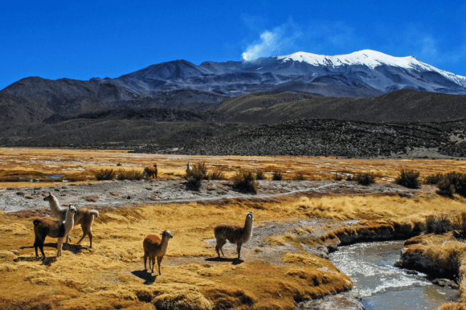 easyco corporate bank account in bolivia