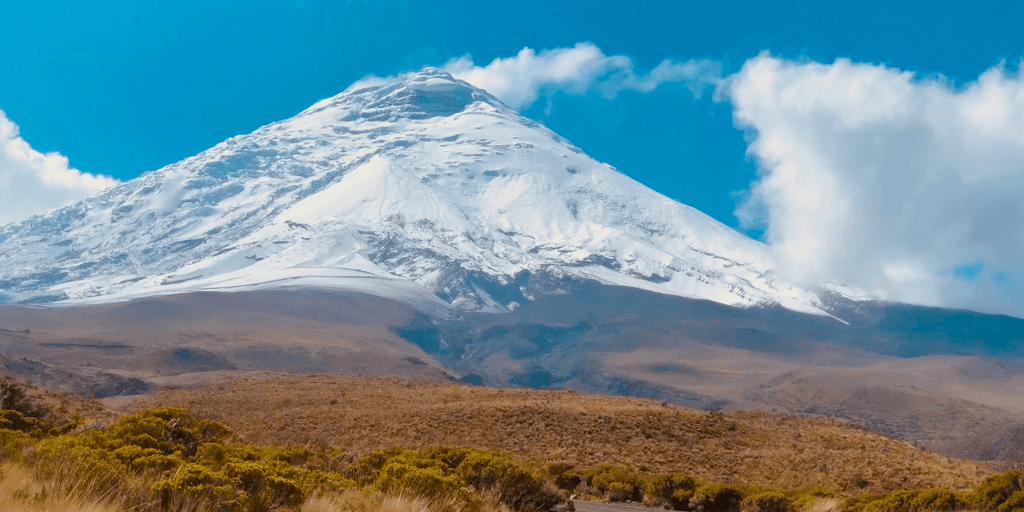 easyco - corporate bank account in ecuador