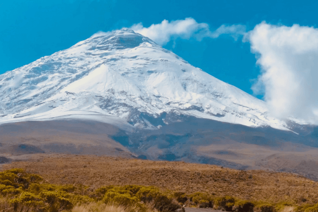 easyco - corporate bank account in ecuador
