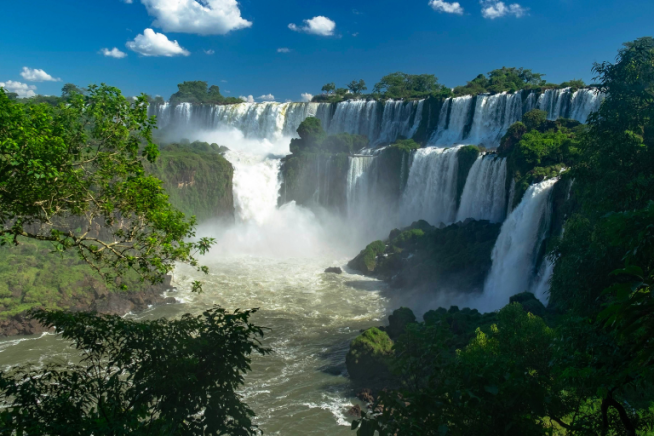 easyco - legal representation in argentina
