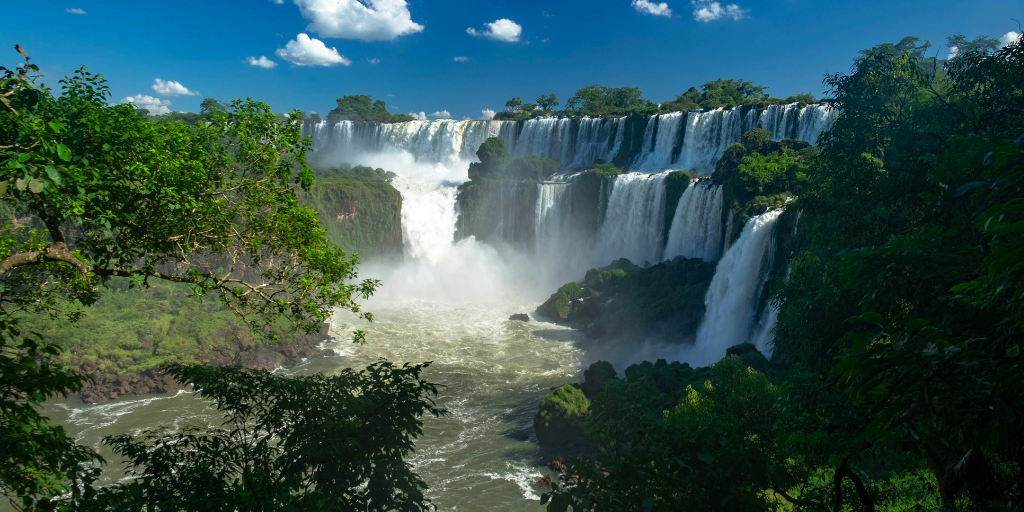 easyco - legal representation in argentina