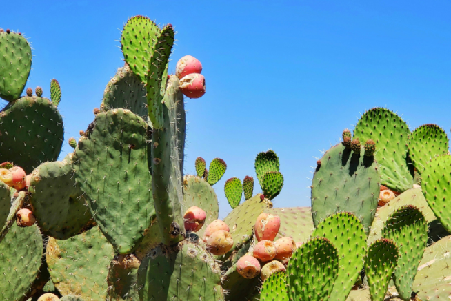 easyco - Payroll Compliance and Local Tax Laws in Mexico