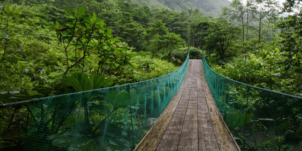 easyco - payroll outsourcing costa rica