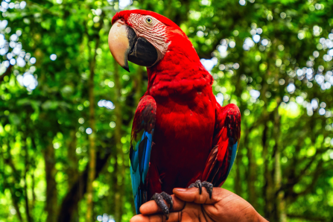 easyco tax and accounting in the dominican republic