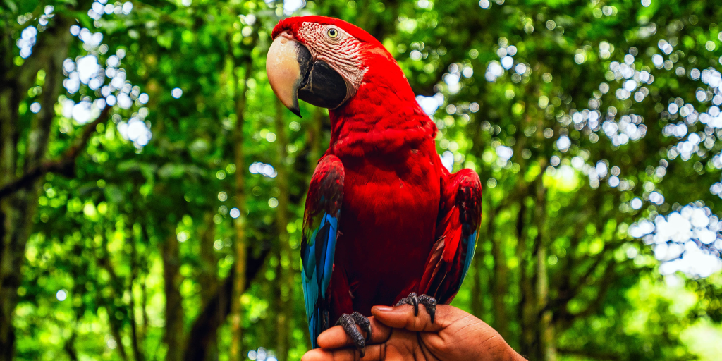 easyco tax and accounting in the dominican republic