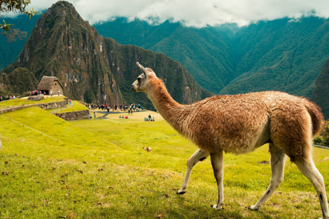 easyco - Top Benefits of Outsourcing in Peru for International Companies