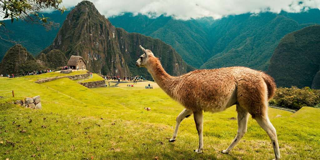 easyco - Top Benefits of Outsourcing in Peru for International Companies